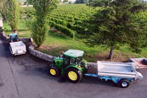 Travail dans le vignoble